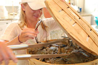 Vacation crab feast