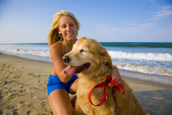 Pets love Vacations too