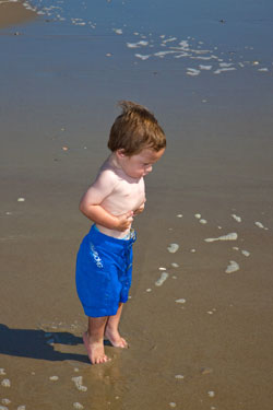 Beach Boy