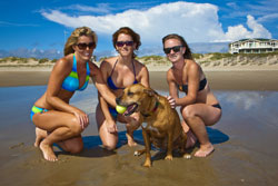 Pets love Vacations too