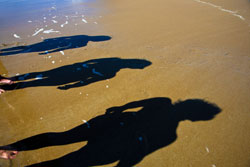 Beach Shadows