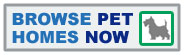 Browse pet friendly beach rentals
