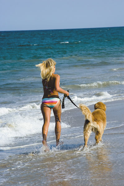 Pet Friendly Beach Vacation