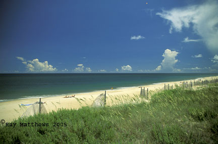 Beach-in-August.jpg