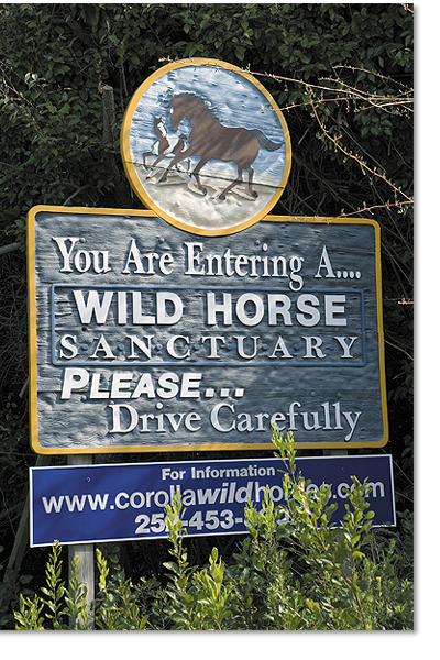 Wild Horse Sign.jpg