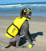 Pet Friendly Rentals
