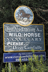 Wild Horse Sign