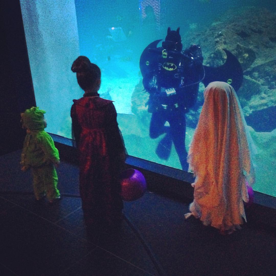 trick or treat under the sea
