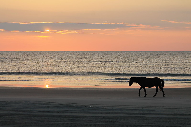 corolla wild horse 4x4 beaches