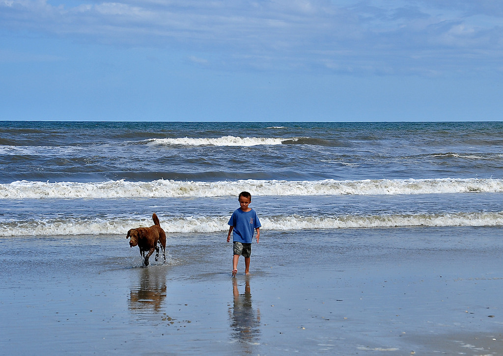 dog and boy on beach