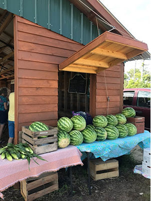 secotan market watermelons