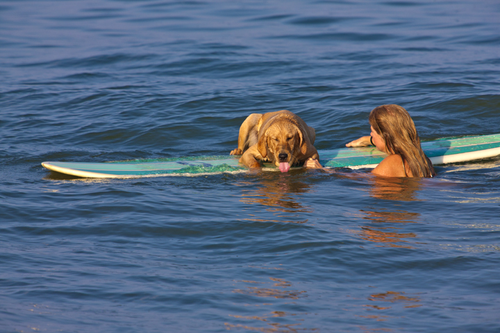 girl and dog surfing