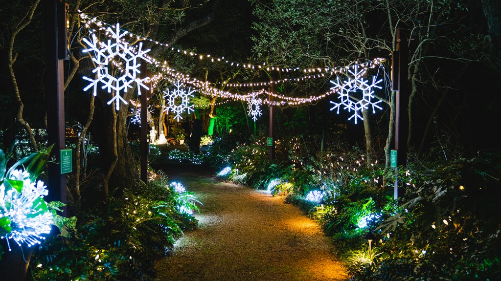 Winterlights at The Elizabethan Gardens