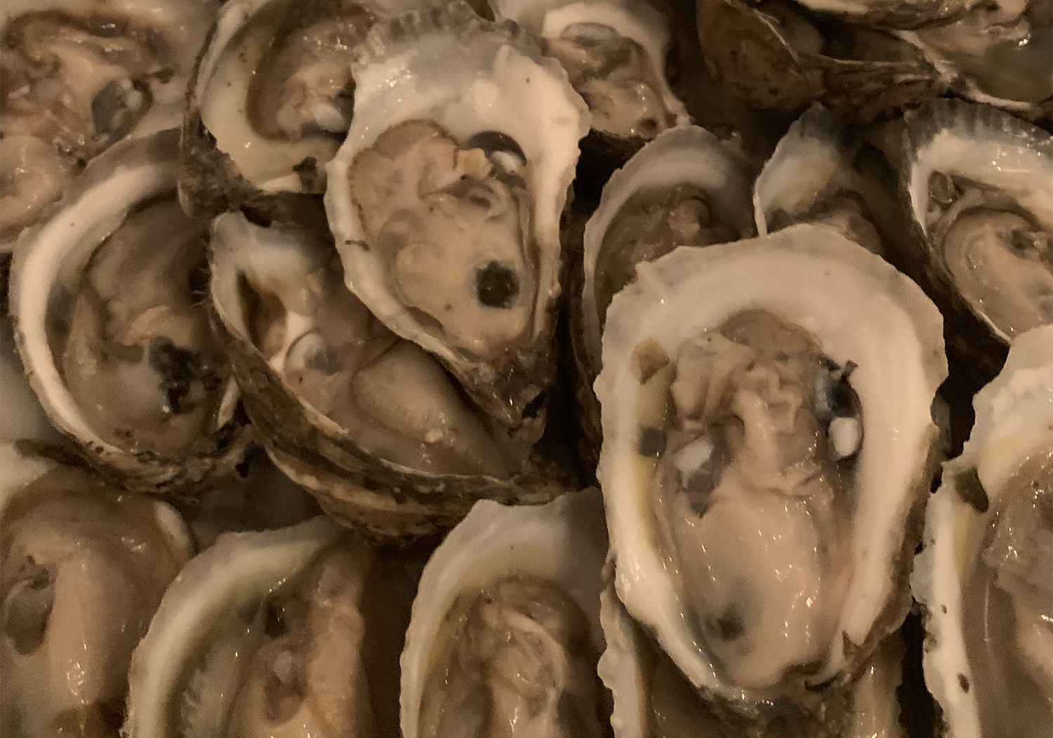 Outer Banks Oysters
