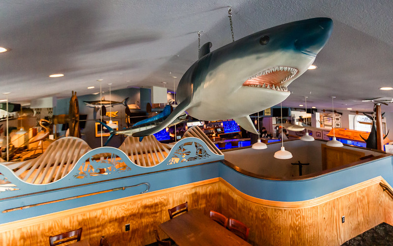 Mako's restaurant shark