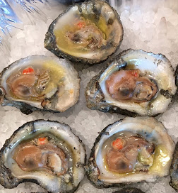 NC oysters