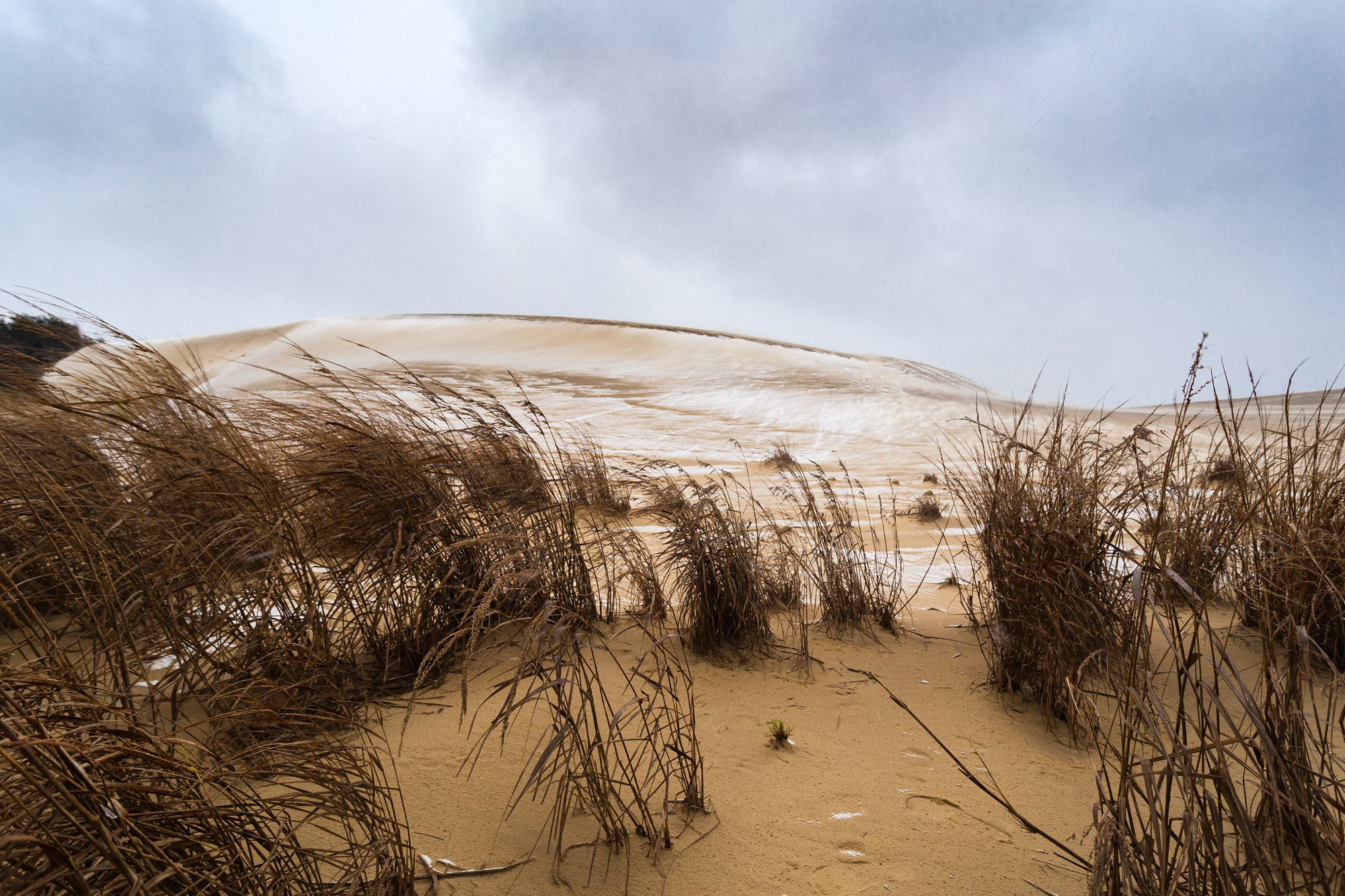 6 Things to Do in the OBX in Winter