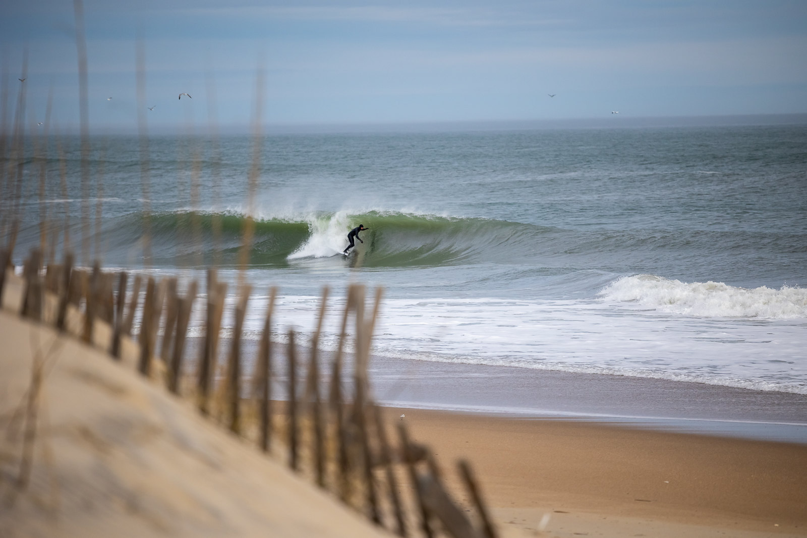 What to Do in the Outer Banks in February