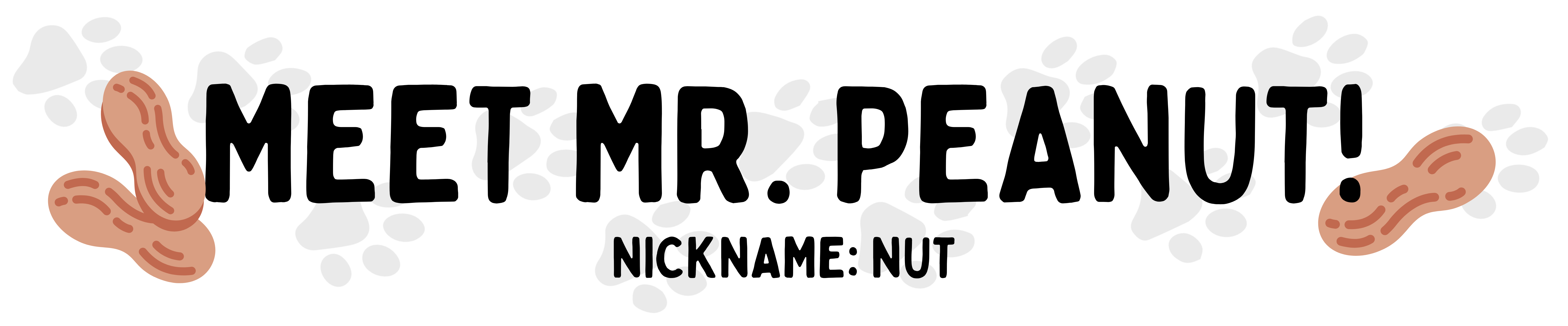 may's friendly pet of the month - mr. peanut
