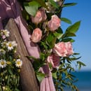 Smooth Sailing Weddings