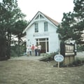 1981