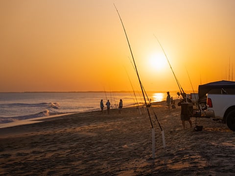 Fishing straight from the shoreline