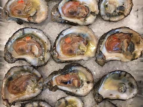 Eat Oysters