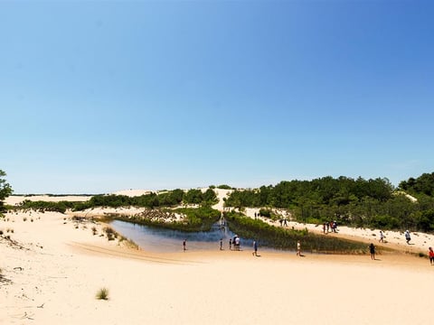 Jockey’s Ridge at sunset or sunrise