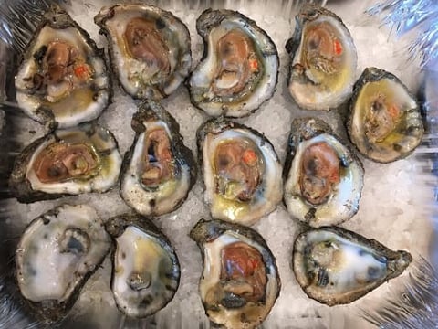 It’s Oyster Season