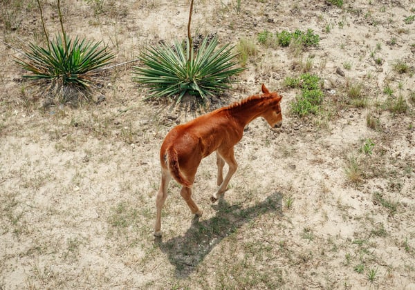 Wild and unspoiled