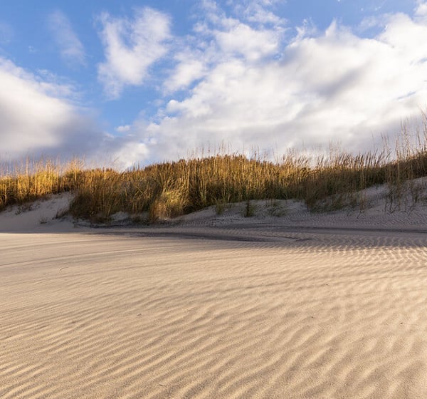 Xtra Winter Dunes Sunshine