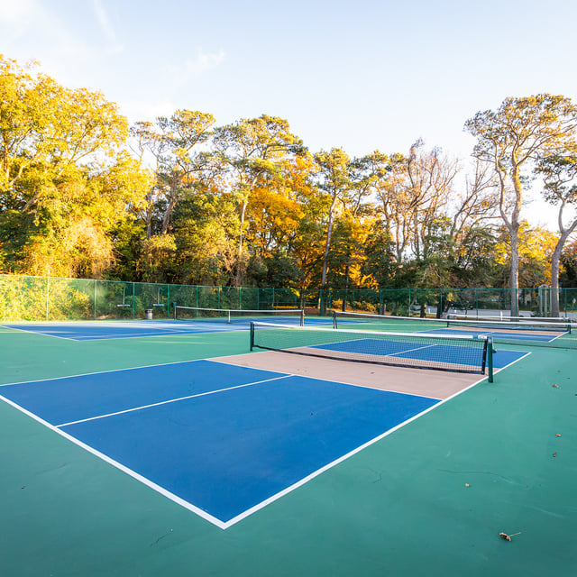 Pickleball Court