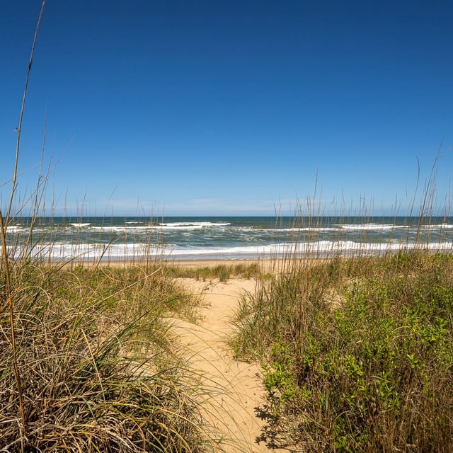 Gull'sflightbeachaccess