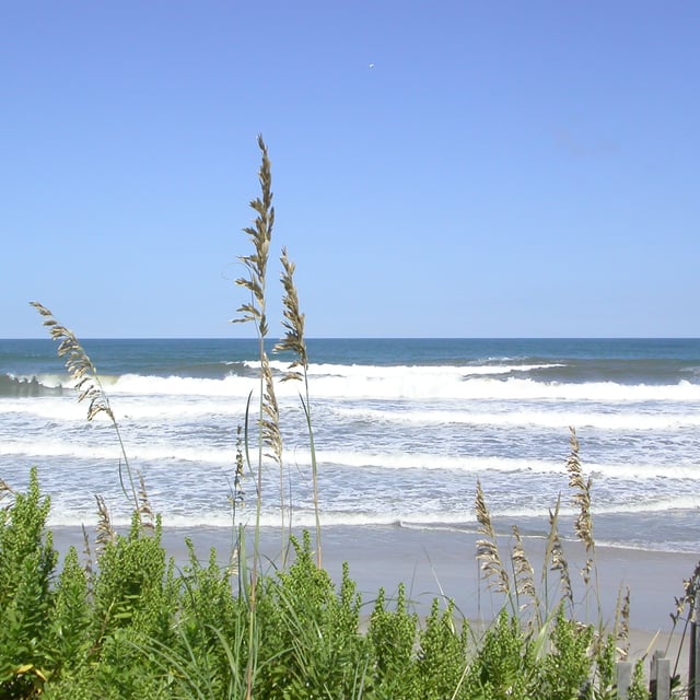 Ocean Sands - J Ocean