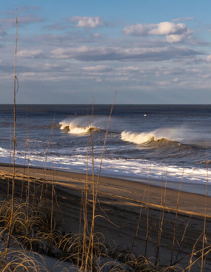 Xtra Winter Swell
