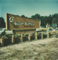 Ocean Dunes Original Sign