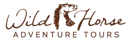 Wild Horse Logo 3