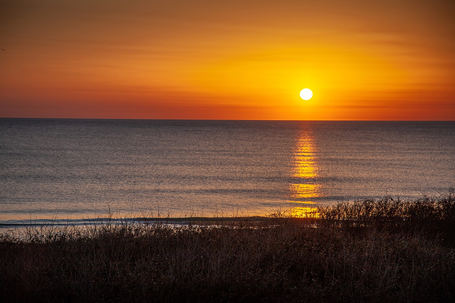 Stars and Stripes property image