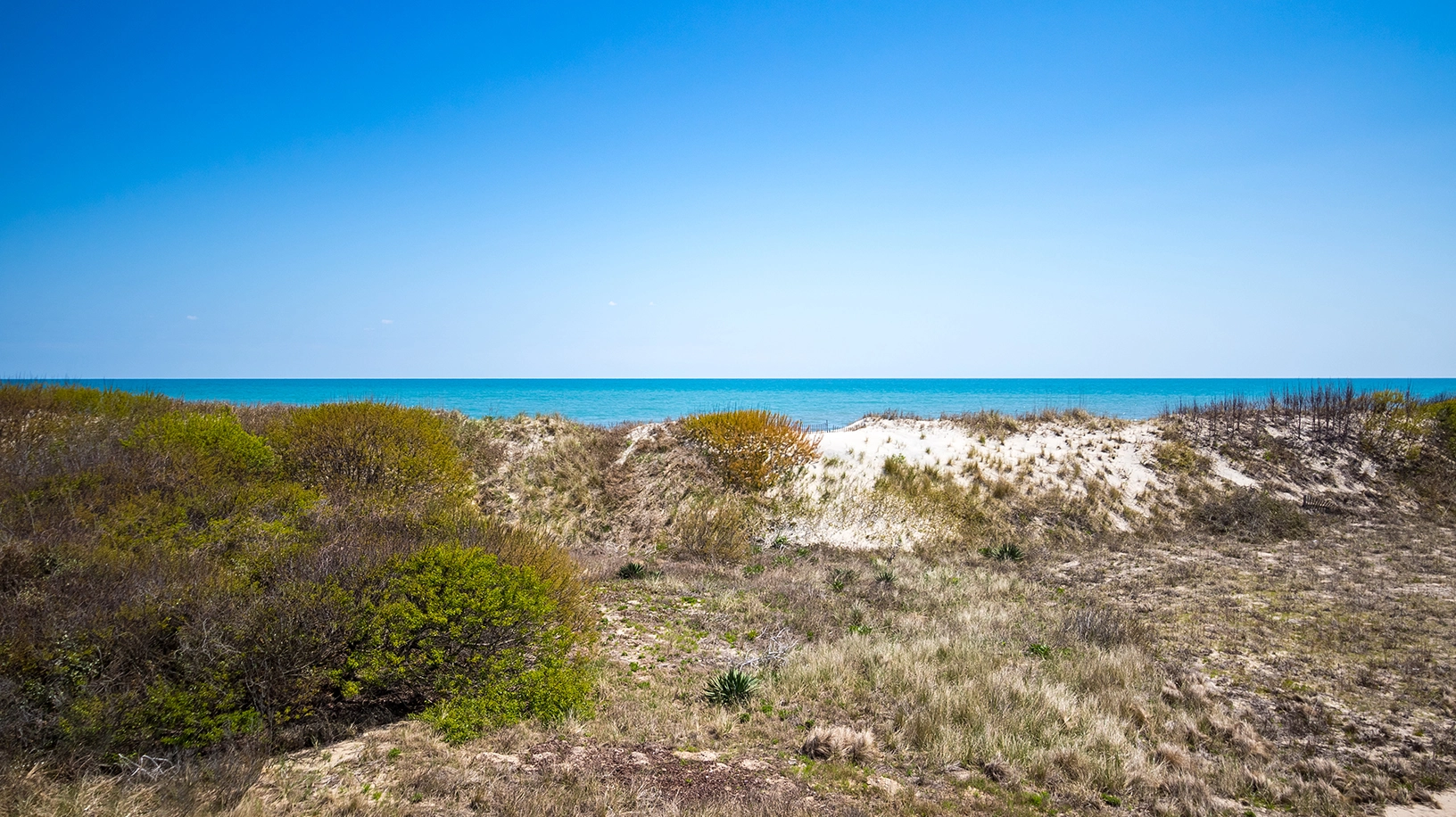 Seagazer property image