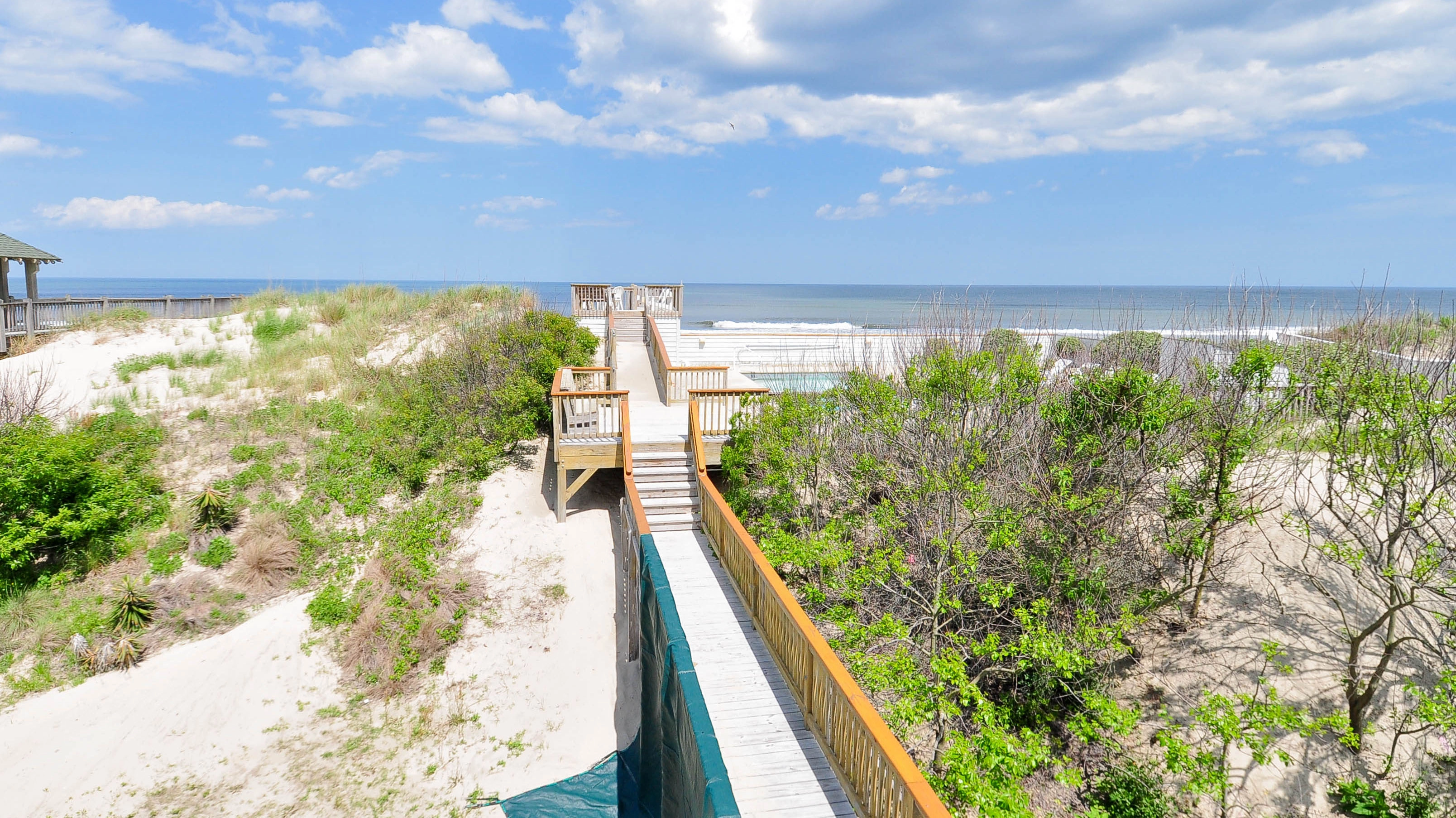 Canterbury Whale property image