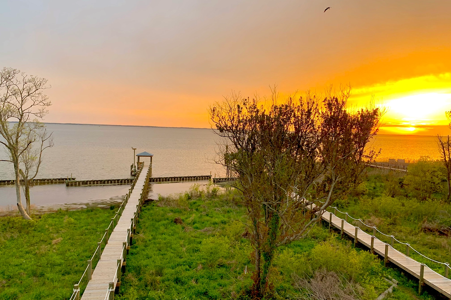 It's All Good Now property image