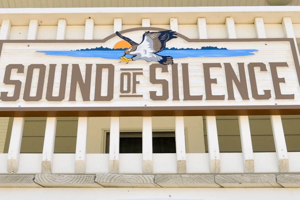 Sound of Silence property image