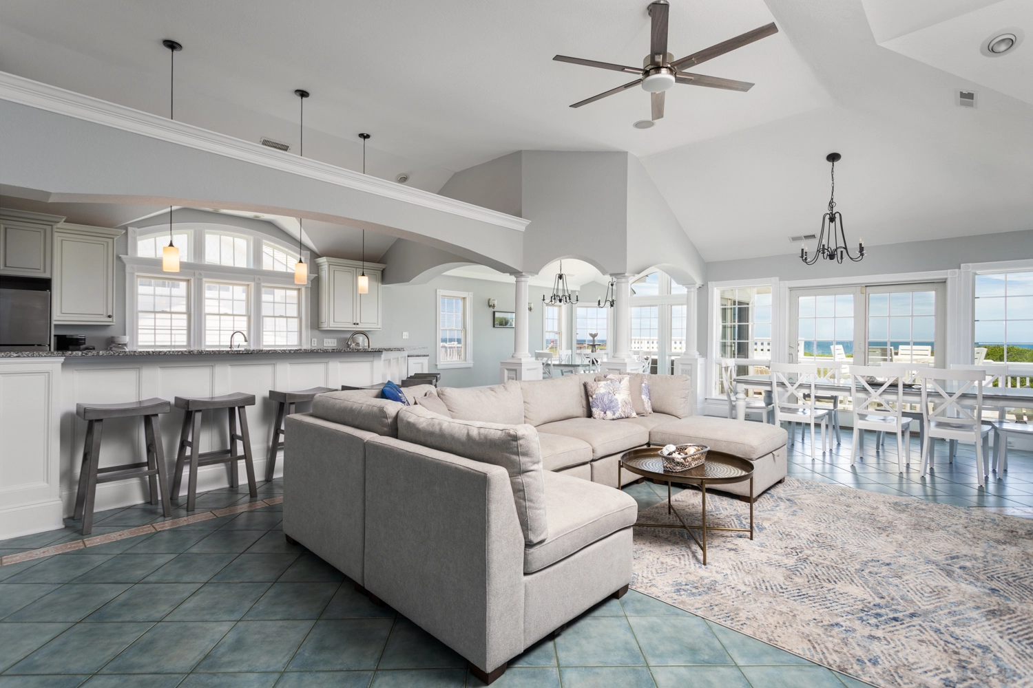 C Dolphin property image