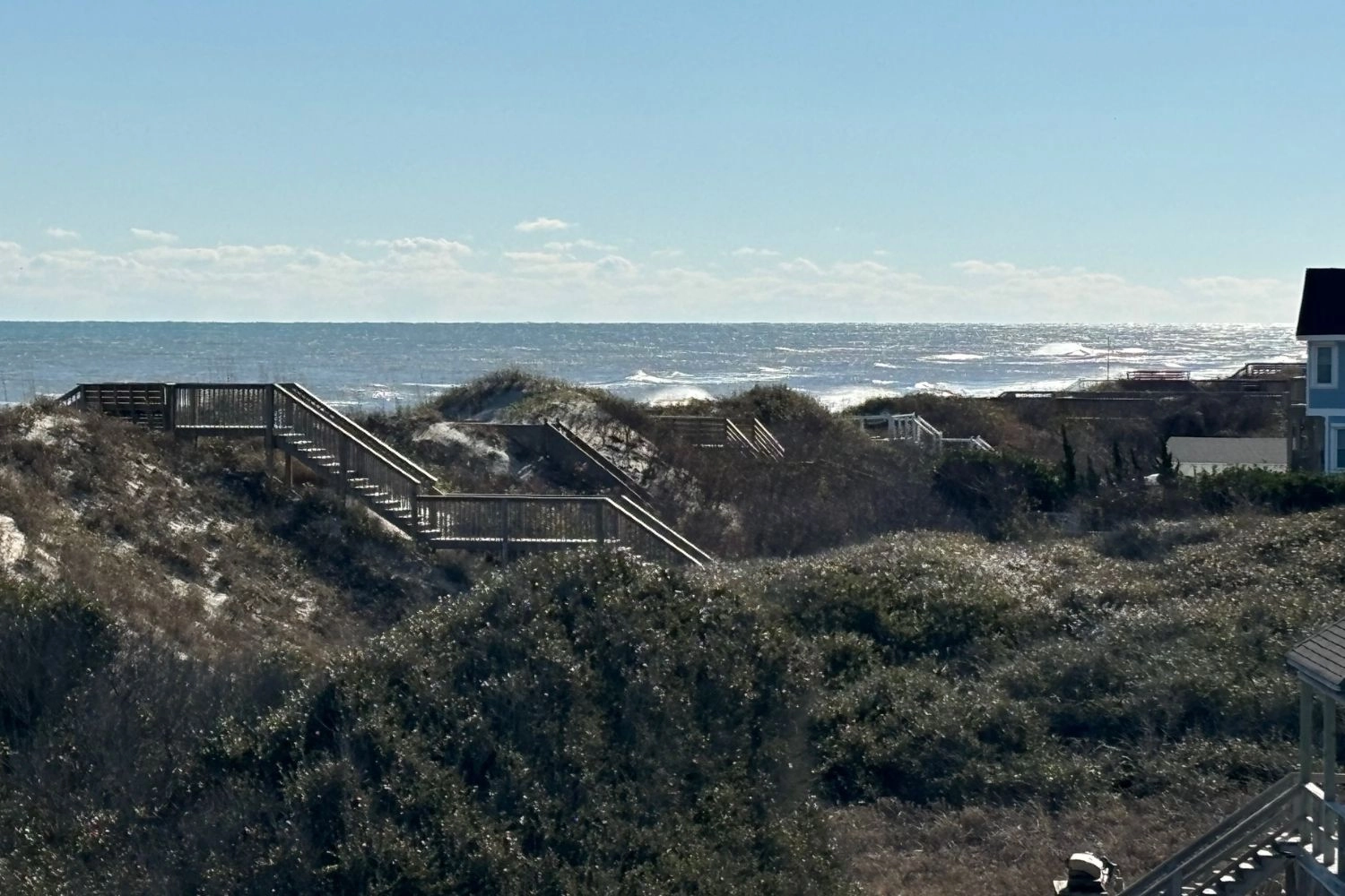 Turtley Awesome property image