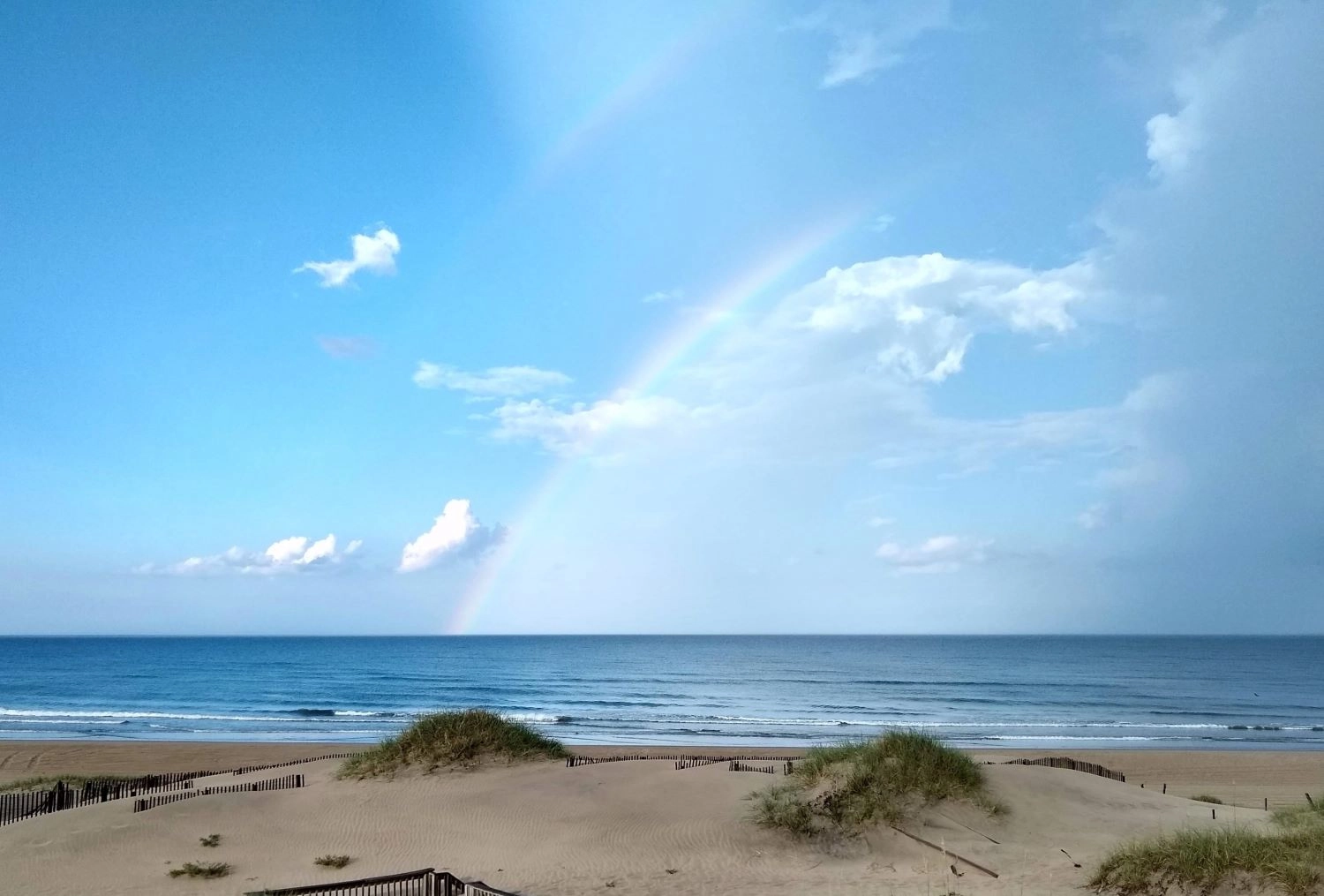 Swan Coast property image