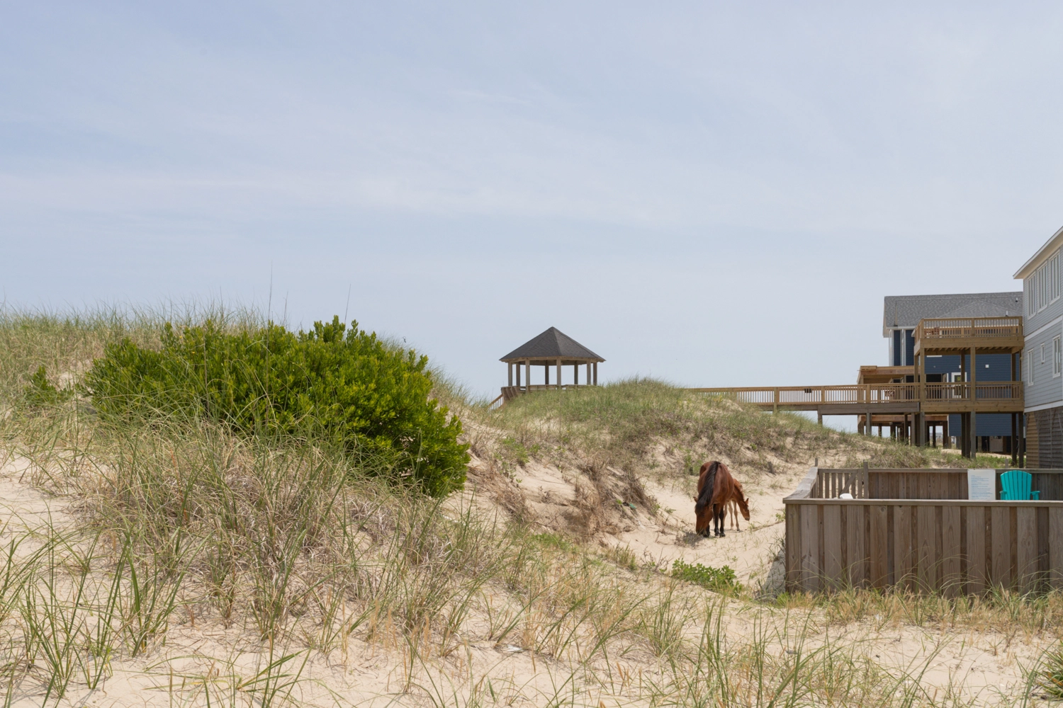 Swan Coast property image