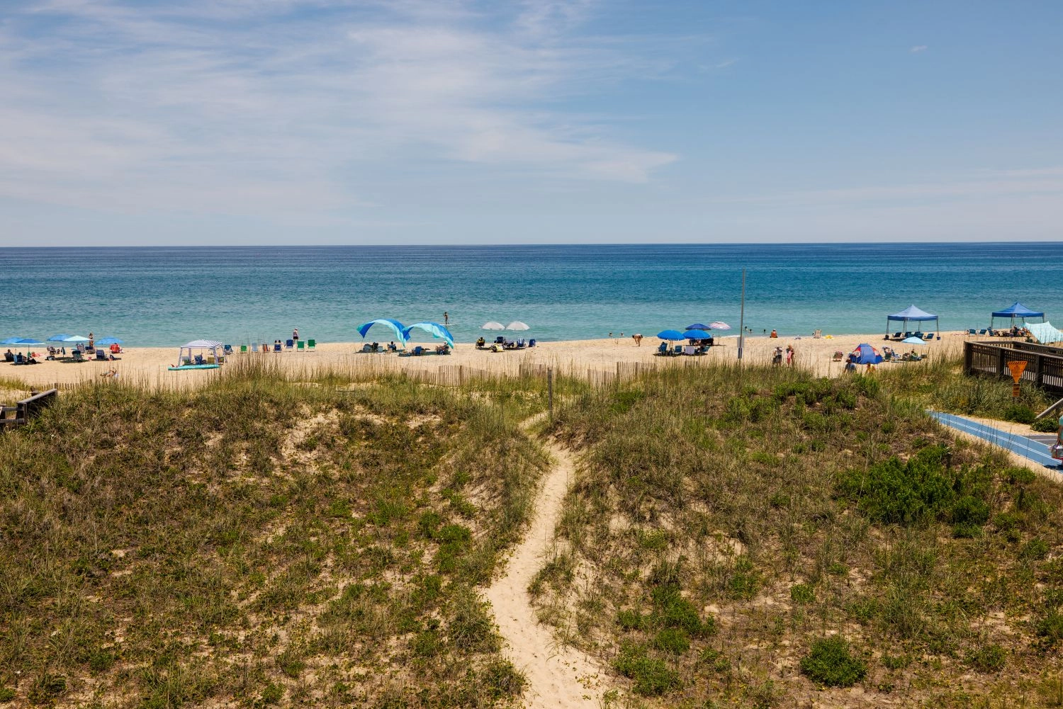 Salty Dog property image