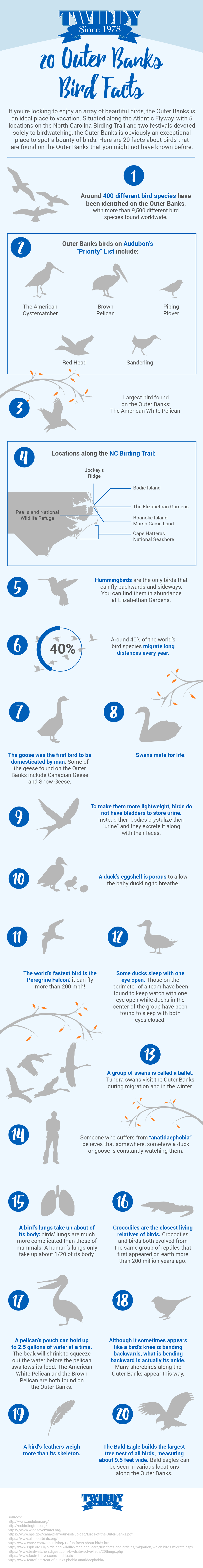 North Carolina Bird Chart