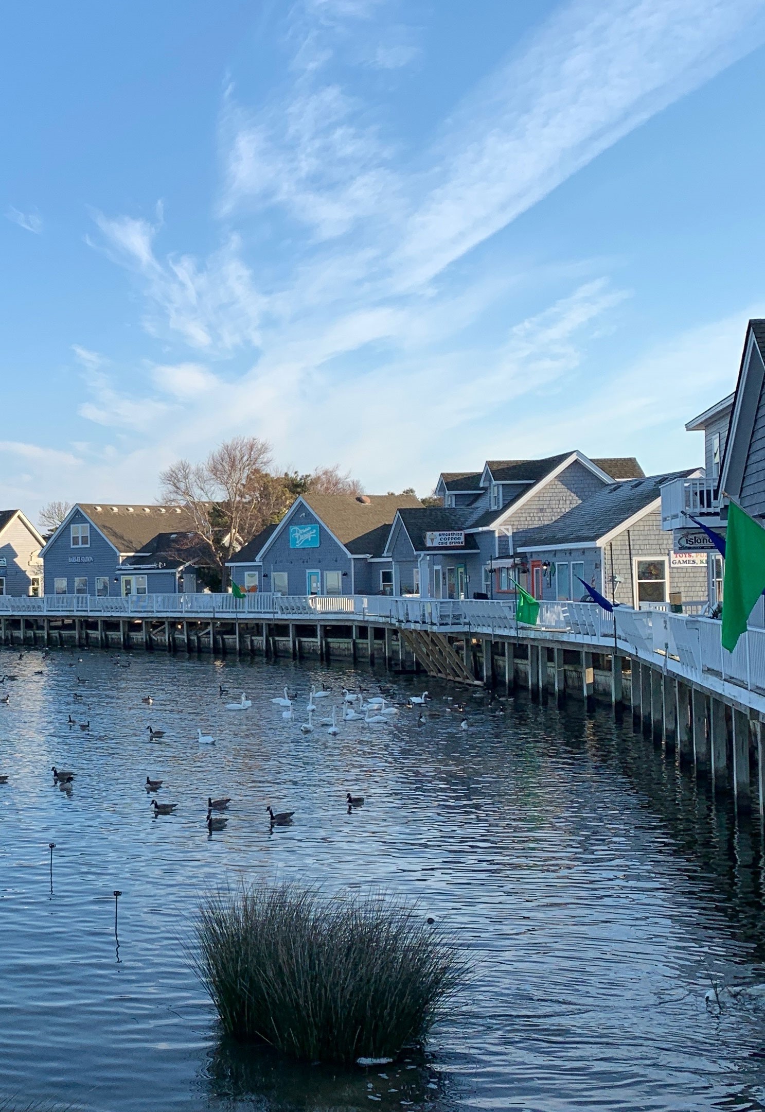 Things To Do In 4x4 Beach, NC Vacation Guide Twiddy