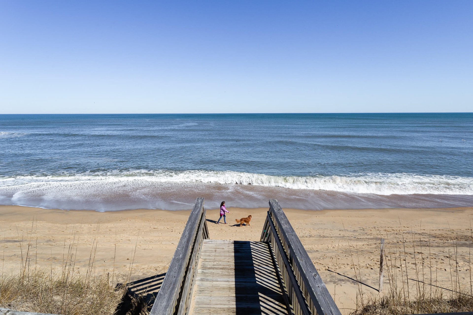 Pet Friendly Oceanfront (OBX) Outer Banks Vacation Rentals Twiddy